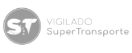 Vigilado Supertransporte